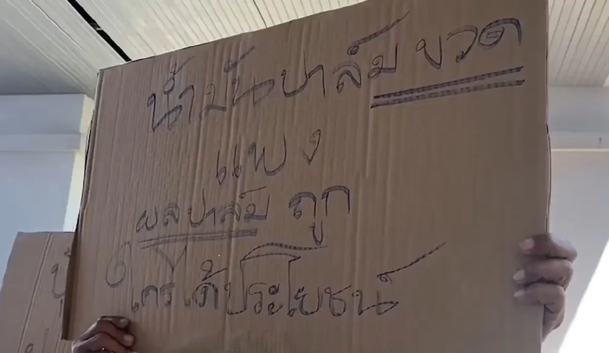 ชาวสวนปาล์มน้ำมัน จี้รัฐบาลแก้ปัญหาราคาตก ขีดเส้น 15 วัน จัดม็อบทวงคำตอบ