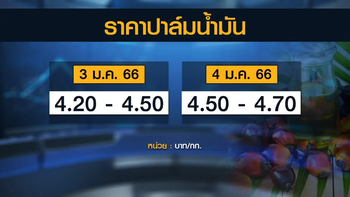 ชาวสวนโอดราคา 'ปาล์ม' ไม่กระเตื้องวอนเร่งปรับราคาปุ๋ย