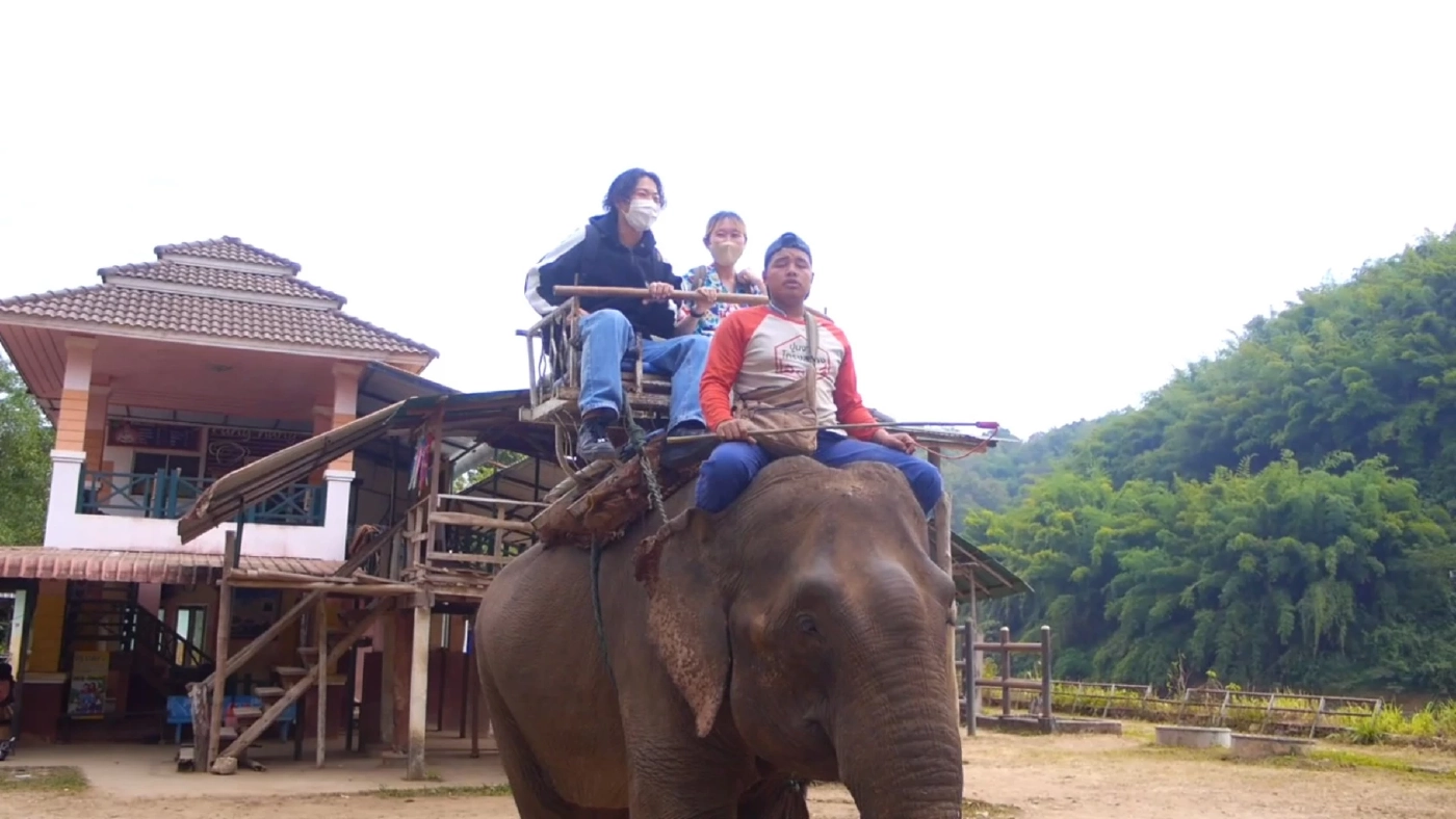 เชียงรายคึกคัก! นทท. แห่ขี่ช้างชมธรรมชาติ คาดปีนี้พุ่ง 3.8 ล้านคน