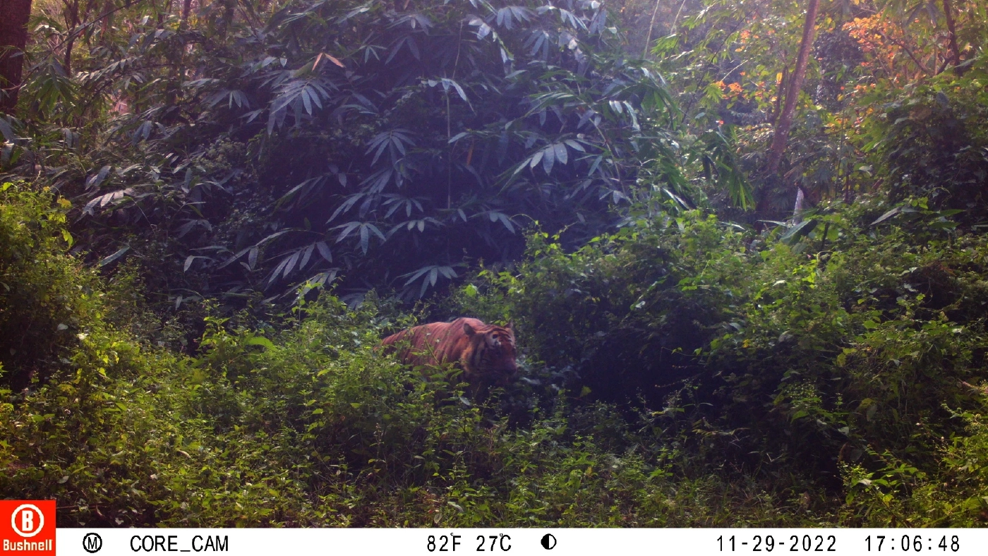 ฮือฮา! พบสัตว์ป่าเพิ่มจำนวน ในที่ดินกรมธนารักษ์ เมืองกาญจนบุรี