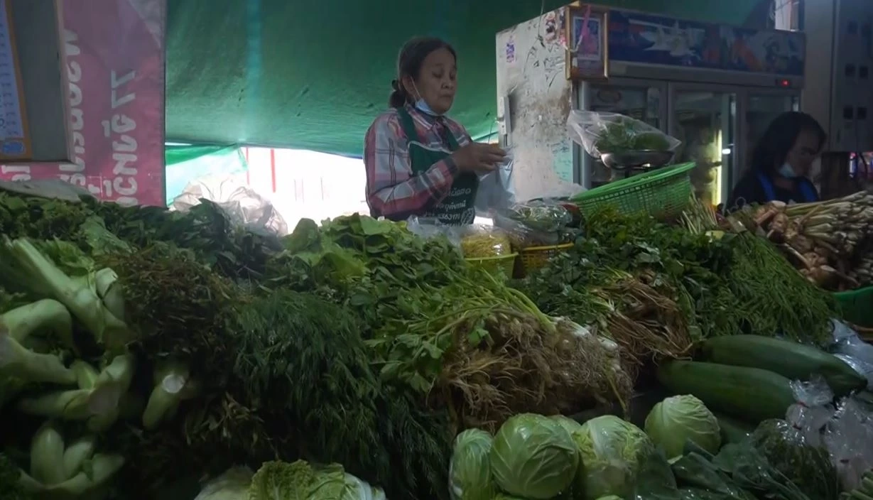 "กะเพรา" ขาดตลาด ราคาพุ่งพรวด กิโลกรัมละ 100 บาท กระทบร้านอาหารตามสั่ง