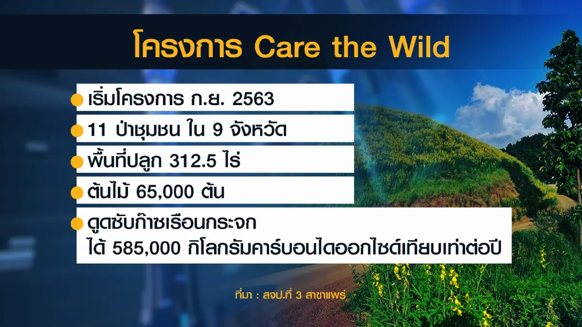 ตลาดหลักทรัพย์ฯ ผนึกภาคธุรกิจระดมทุน 'ปลูกป่า'