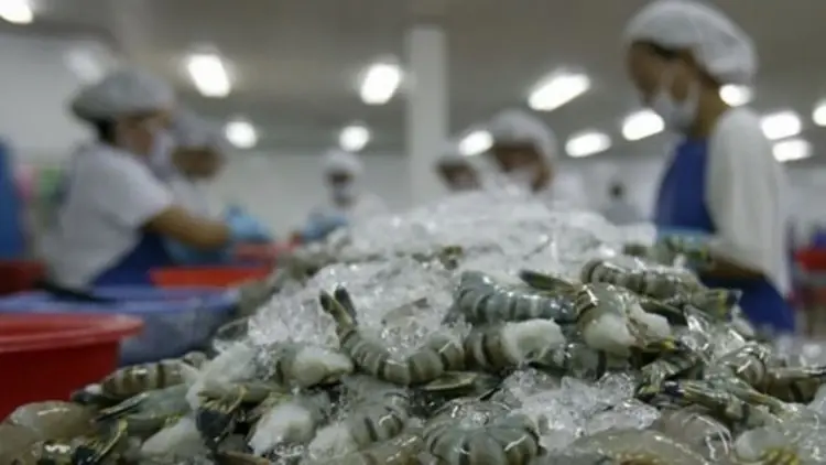 "FTA-อาเซียน" ดันส่งออกสินค้าเกษตรพุ่ง 11 เดือน โกยรายได้ทะลุ 1.5 ล้านล้าน