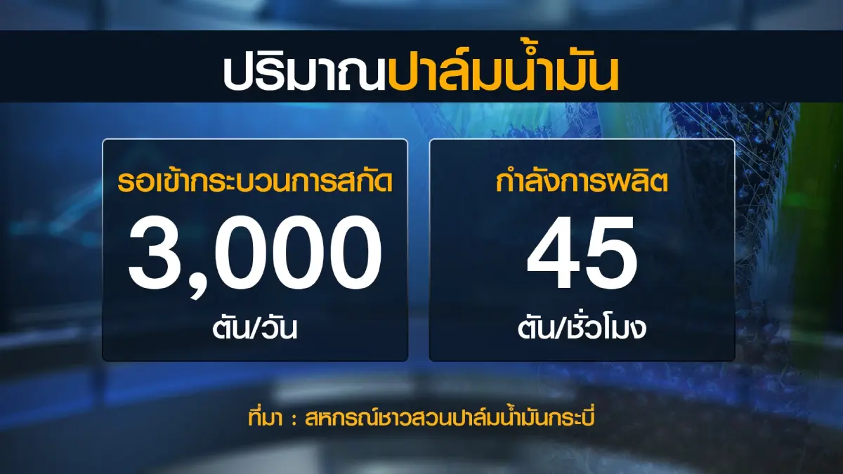 ปาล์ม 'ล้น' โรงงานฉุดราคาดิ่งเหลือ 4 บาท/กิโลกรัม