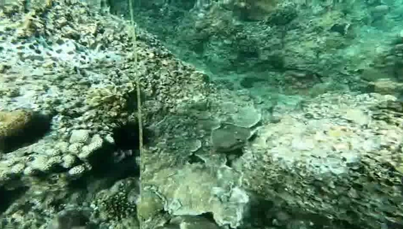 ความเสียหายปะการังที่ถูกเรือทับ