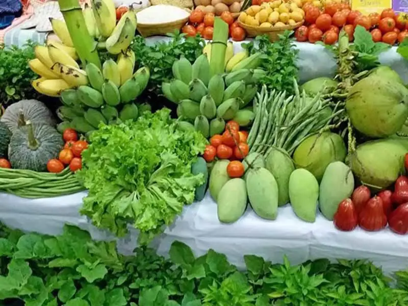"FTA-อาเซียน" ดันส่งออกสินค้าเกษตรพุ่ง 11 เดือน โกยรายได้ทะลุ 1.5 ล้านล้าน
