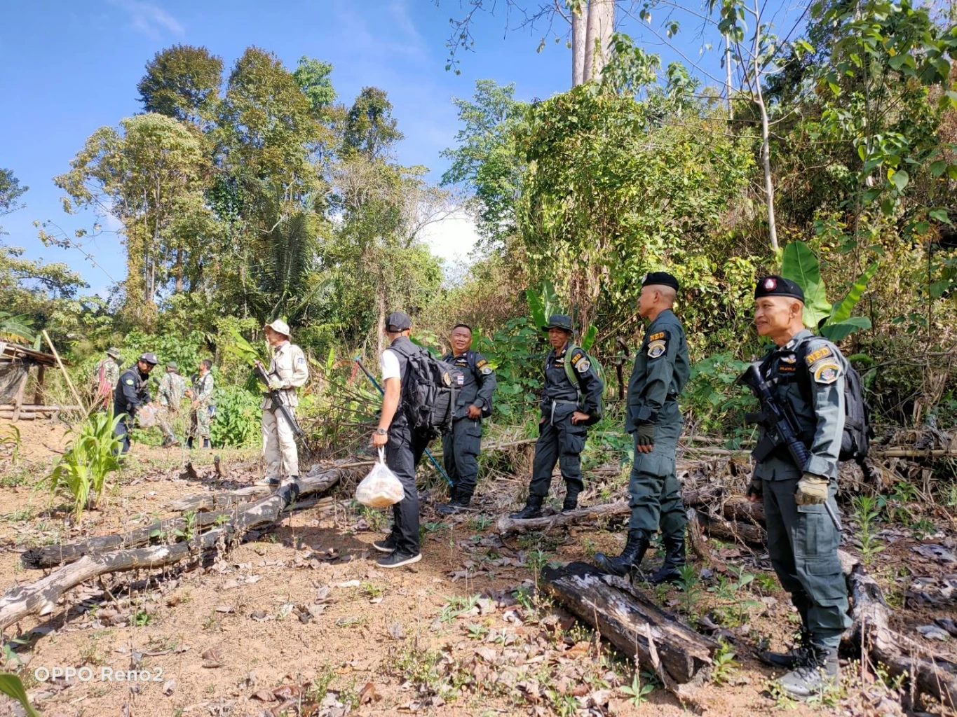 ตร.บุกตัดทำลายไร่ฝิ่น ปลูกเย้ยกฎหมายในป่าสงวนฯ กลางหุบเขาชายแดนเมียนมา