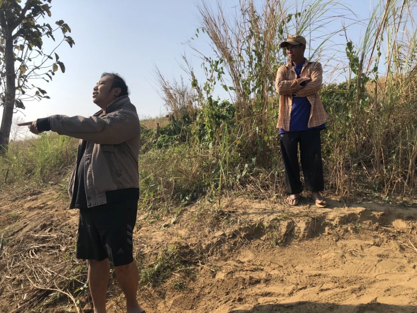 โจรแสบ ขโมยตัดต้นข้าวโพดในไร่ 3 หมู่บ้าน เกษตรกรต้องใช้รถลาดตระเวนเฝ้าระวัง