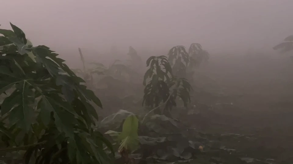 ประกาศขายอากาศชั่วโมงละพันต่อคน แถมฟรีอาหาร ที่กางเต็นท์