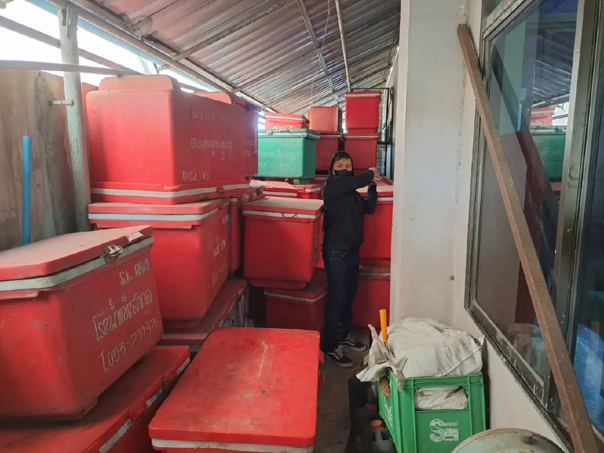 รวบตีนแมวตระเวนงัดแงะข้ามปี พื้นที่ 4 โรงพักเชียงราย อ้างหาเงินกินเที่ยว