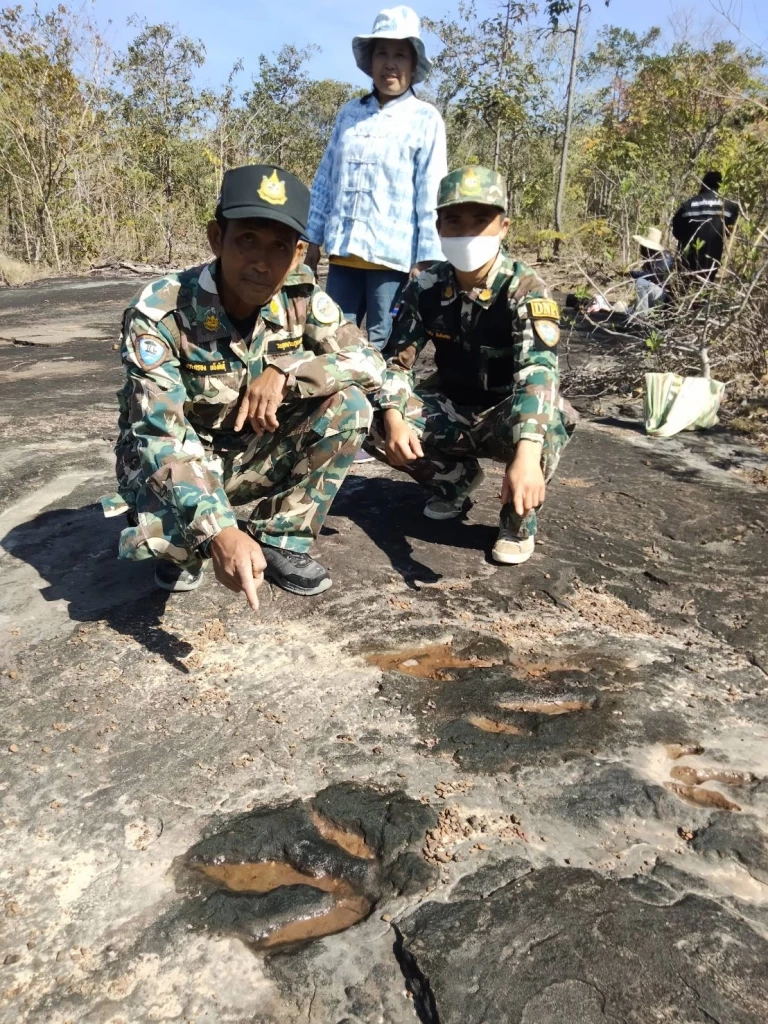 ฮือฮา! พบรอยเท้าไดโนเสาร์กินเนื้อแห่งใหม่ ที่จ.กาฬสินธุ์ คาดอายุ 140 ล้านปี