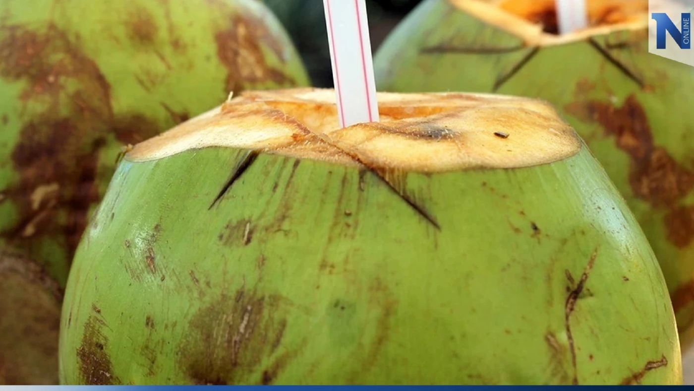 น้ำมะพร้าวอ่อน เครื่องดื่มเพื่อสุขภาพจากธรรมชาติ ดีต่อร่างกาย ดีขนาดไหนต้องอ่าน