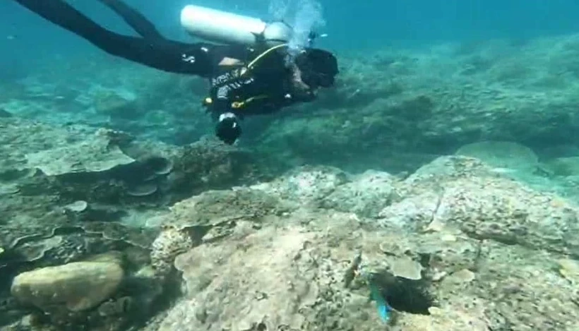 ความเสียหายปะการังที่ถูกเรือทับ