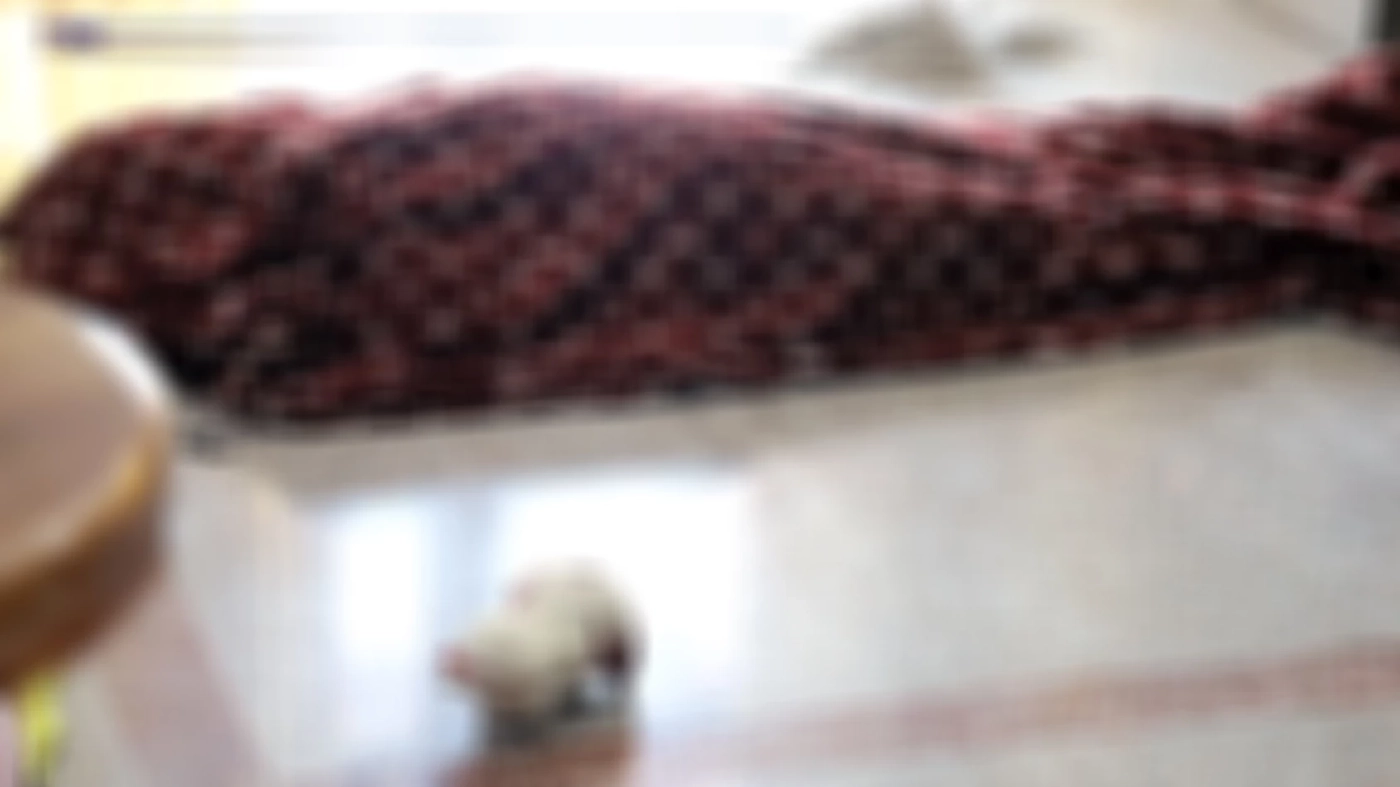 สลด! ลูกชายมีอาการจิตเวช ใช้ตุ๊กตาปูนปลาสเตอร์ทุบหน้าแม่ดับ