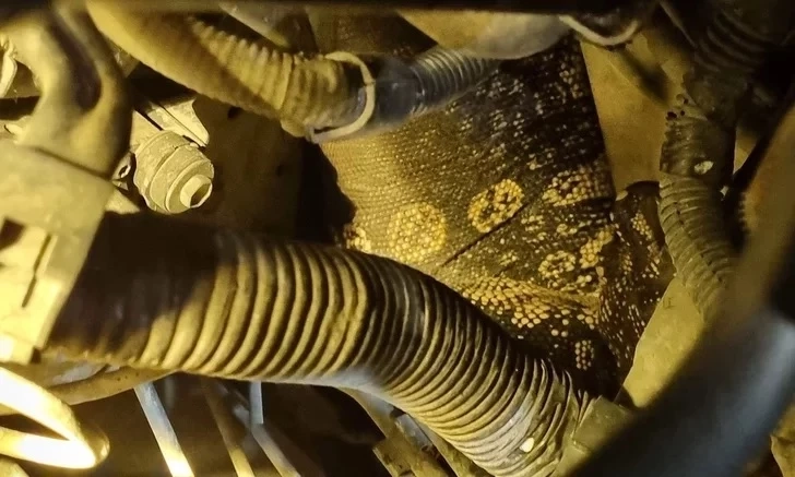 ที่มา : เลขเด็ดตัวเงินตัวทอง