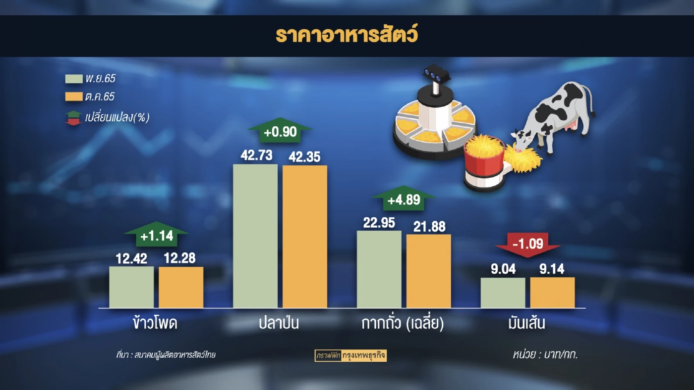 ผู้เลี้ยงไก่จี้รัฐบาลเร่ง 'คุม' ราคาข้าวโพด-กากถั่วแพง