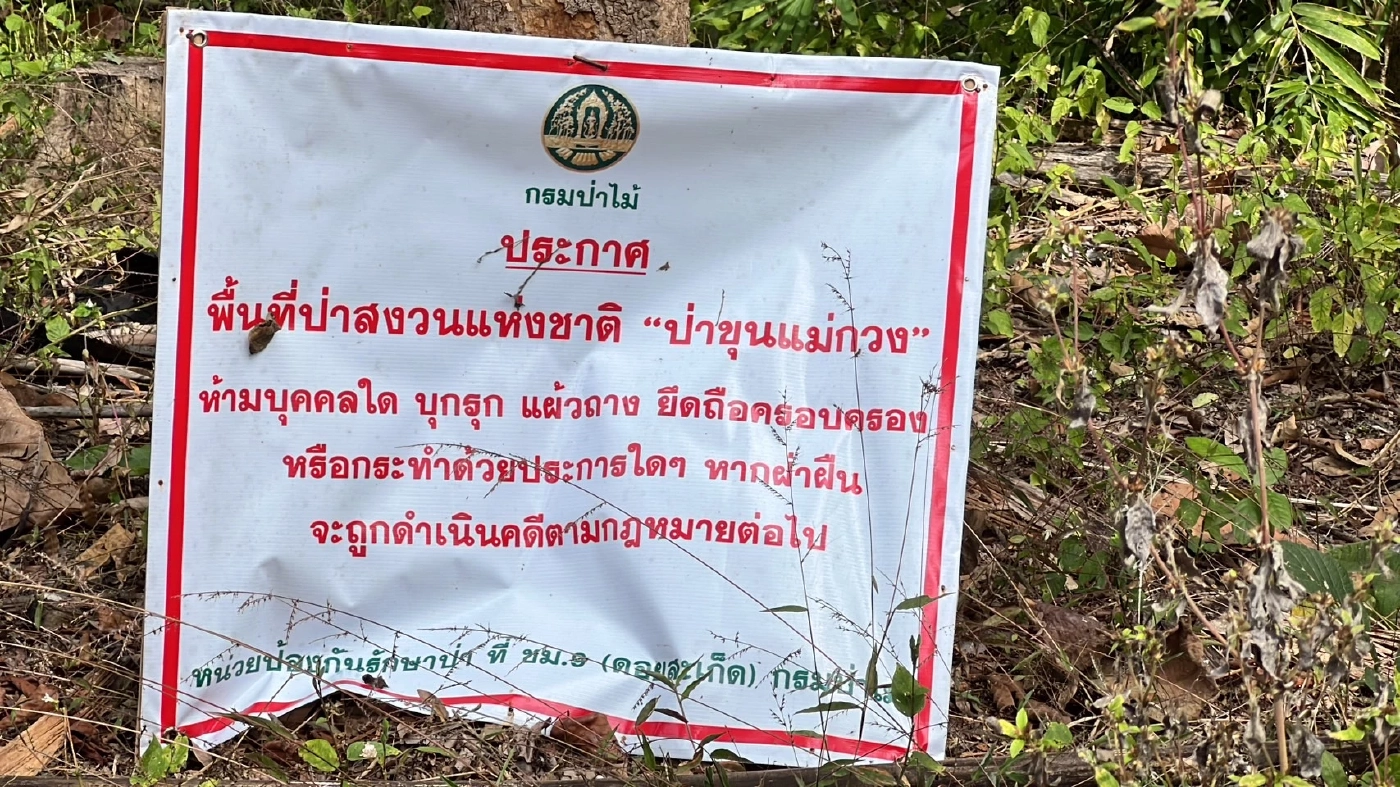 ฉาวอีก! หน.หน่วยพิทักษ์อุทยานฯ แฉขบวนการลักลอบต้นไม้ ส่งแปรรูปขาย