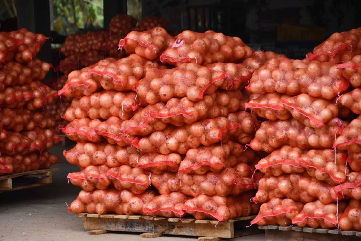 แก้ “พืชสามหัว” ล้นตลาด พาณิชย์ซื้อล่วงหน้า 2.28 หมื่นตันผ่าน“อมก๋อย โมเดล”