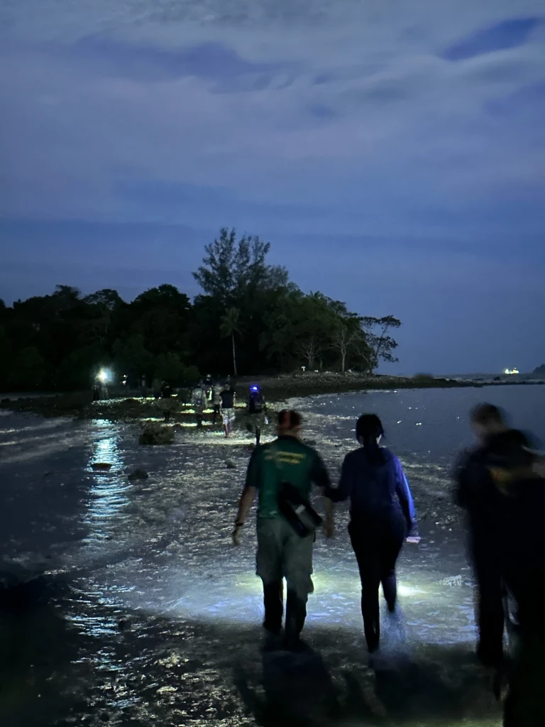 ค้นหากำลังพล "ร.ล.สุโขทัย" วันที่ 17 เน้นช่วงน้ำลงต่ำสุด ยังไม่พบทหารเพิ่ม