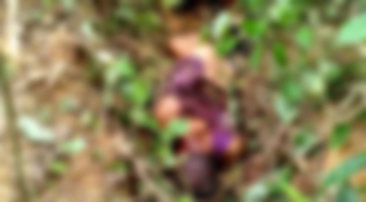 ร่างแหลก! "ช้างพลายโจโจ้" คาดตกมัน กระทืบควาญช้างหนุ่ม ดับสยอง