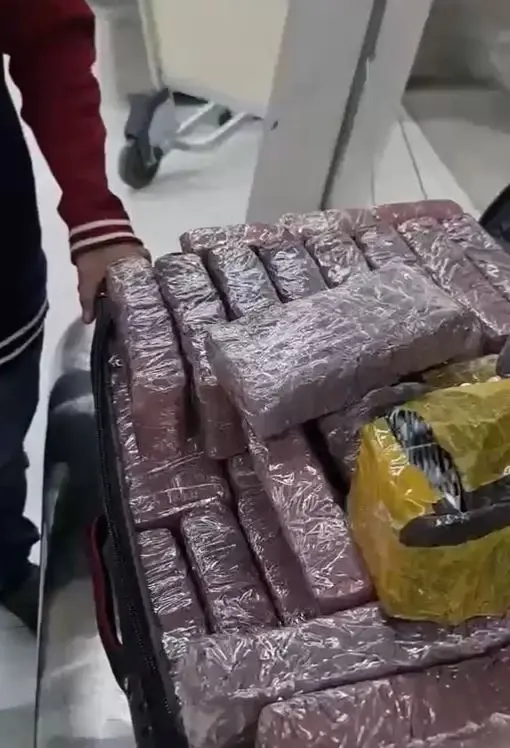 ป.ป.ส. รวบต่างชาติ ลอบขนวัตถุออกฤทธิ์ต่อจิตและประสาท เข้าไทย