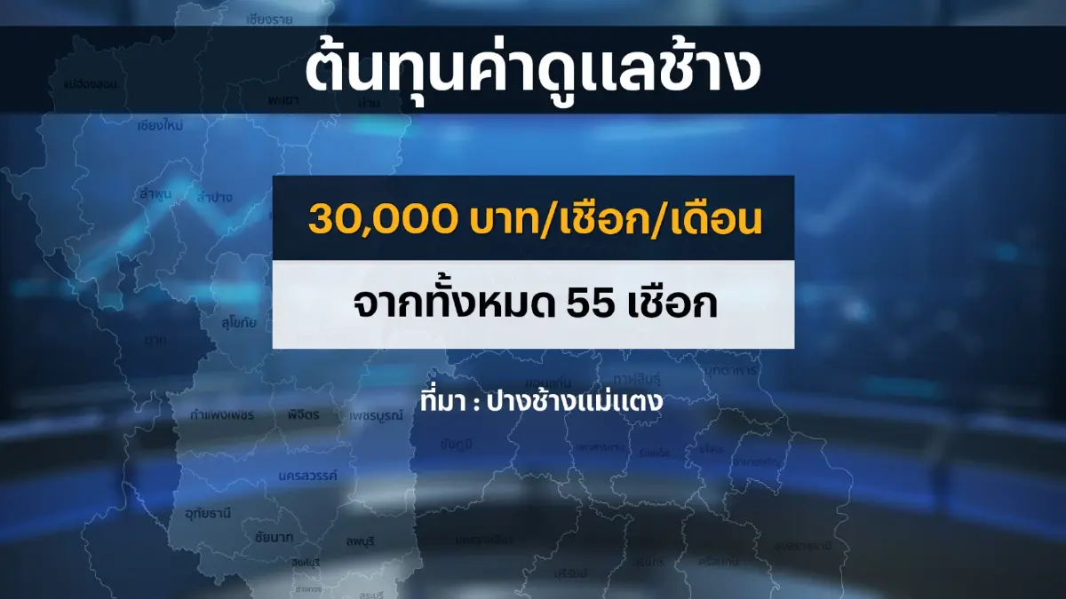 ธุรกิจปางช้างเริ่ม 'ฟื้น' พร้อมรับมือนักท่องเที่ยวจีน