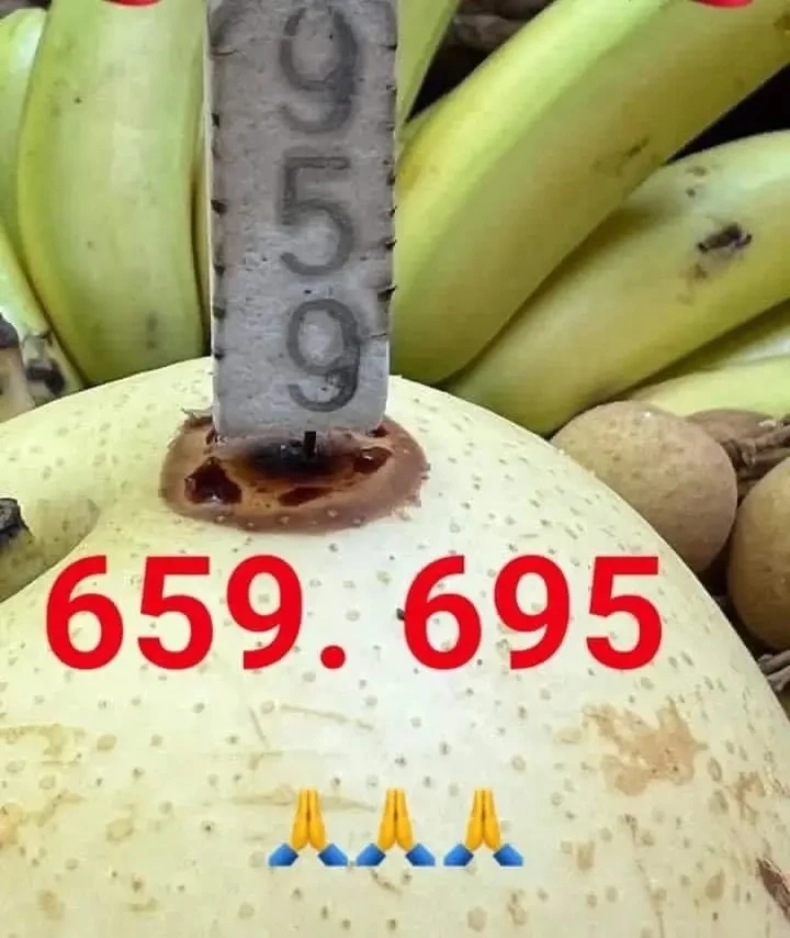 รวมเลขเด็ด 17/1/66 เลขดังทุกสำนัก เลขไหนมาแรง "แม่น้ำหนึ่ง" ชี้เป้าเลขไหนปัง! 