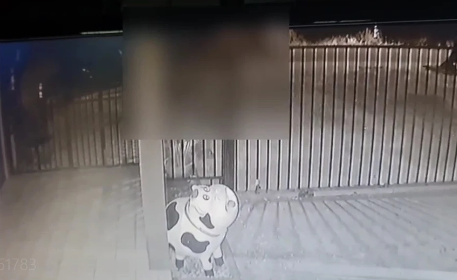 โร่แจ้งความ! กลุ่มชายฉกรรจ์ ขว้างปาขวด ก้อนหินใส่บ้านกลางดึก ทวงรถคืน