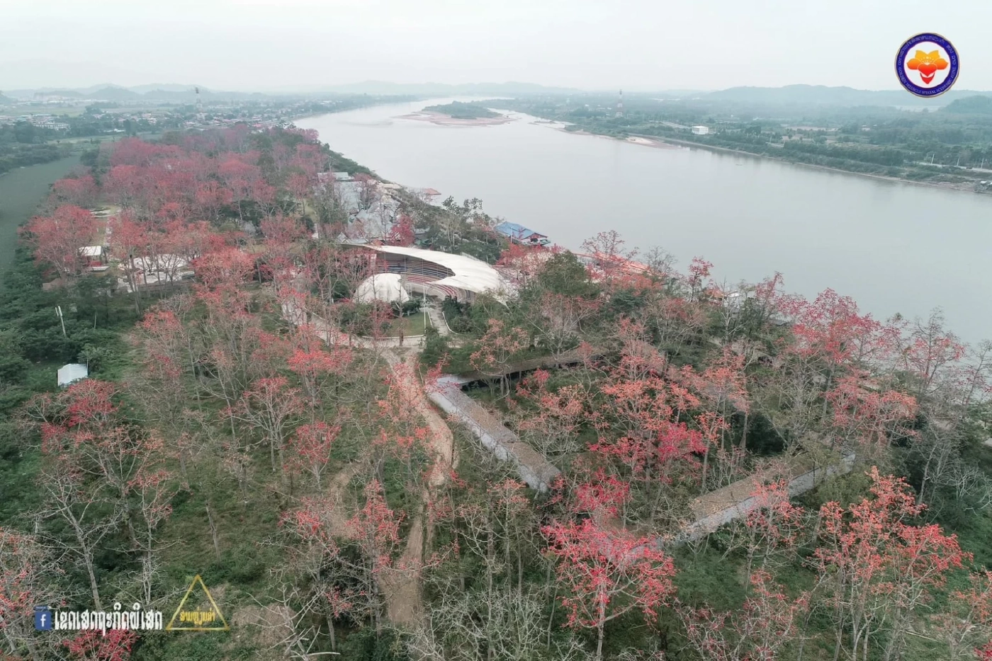 เชิญชวนม่วนจอยร่วมงาน "เทศกาลดอกงิ้วบาน" ครั้งที่ 20 ณ เขตเศรษฐกิจพิเศษสามเหลี่ยมทองคำ