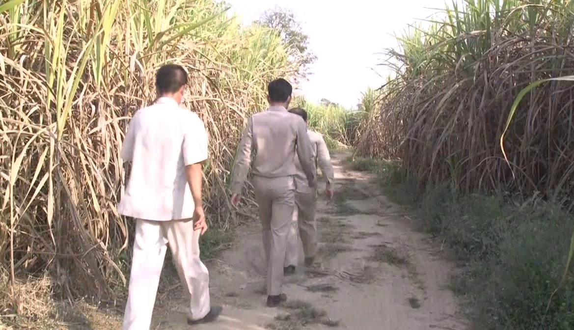 แจ้งข้อหา "ร่วมกันโทรมหญิง" 5 นร.ชาย ชำเราเหยื่อวัย 14 ปี ในป่าหลัง รร.