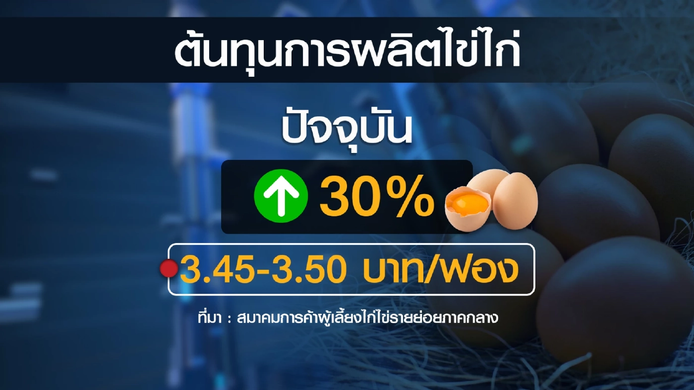 ผู้เลี้ยงไก่จี้รัฐบาลเร่ง 'คุม' ราคาข้าวโพด-กากถั่วแพง