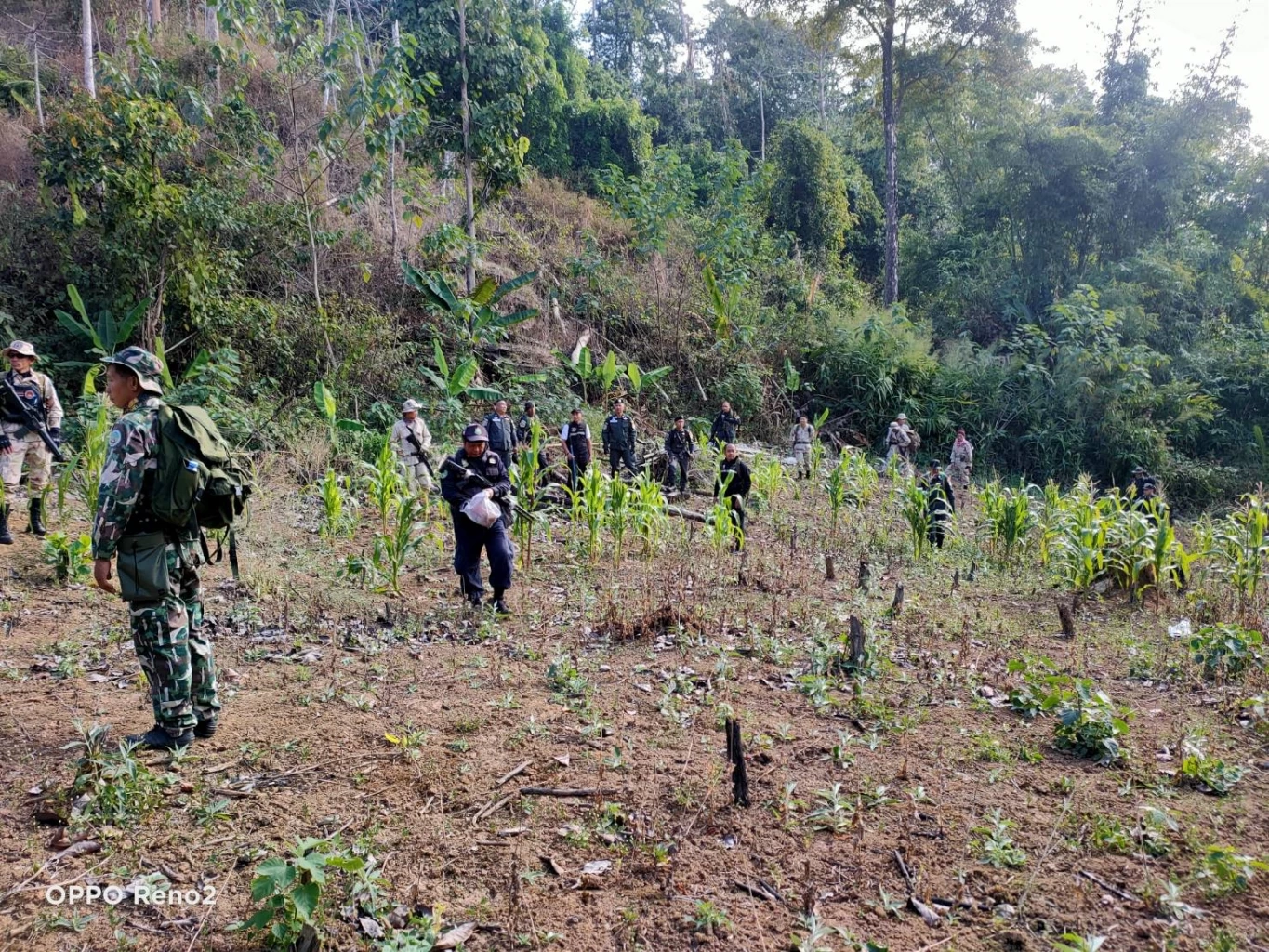 ตร.บุกตัดทำลายไร่ฝิ่น ปลูกเย้ยกฎหมายในป่าสงวนฯ กลางหุบเขาชายแดนเมียนมา