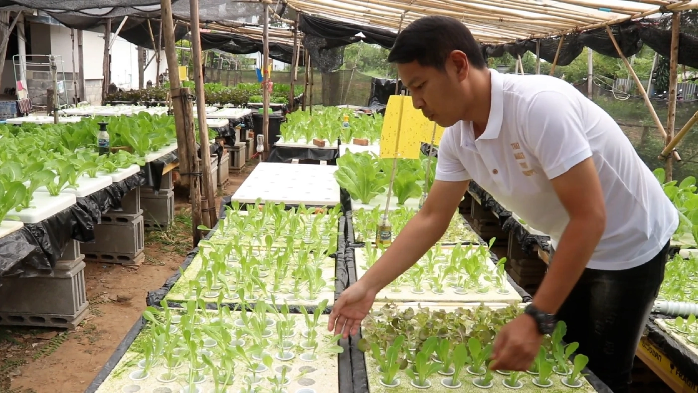 สร้างรายได้เสริมง่ายๆ ปลูกผักไฮโดรโปนิกส์ข้างบ้าน เหมาะกับคนเวลาน้อย