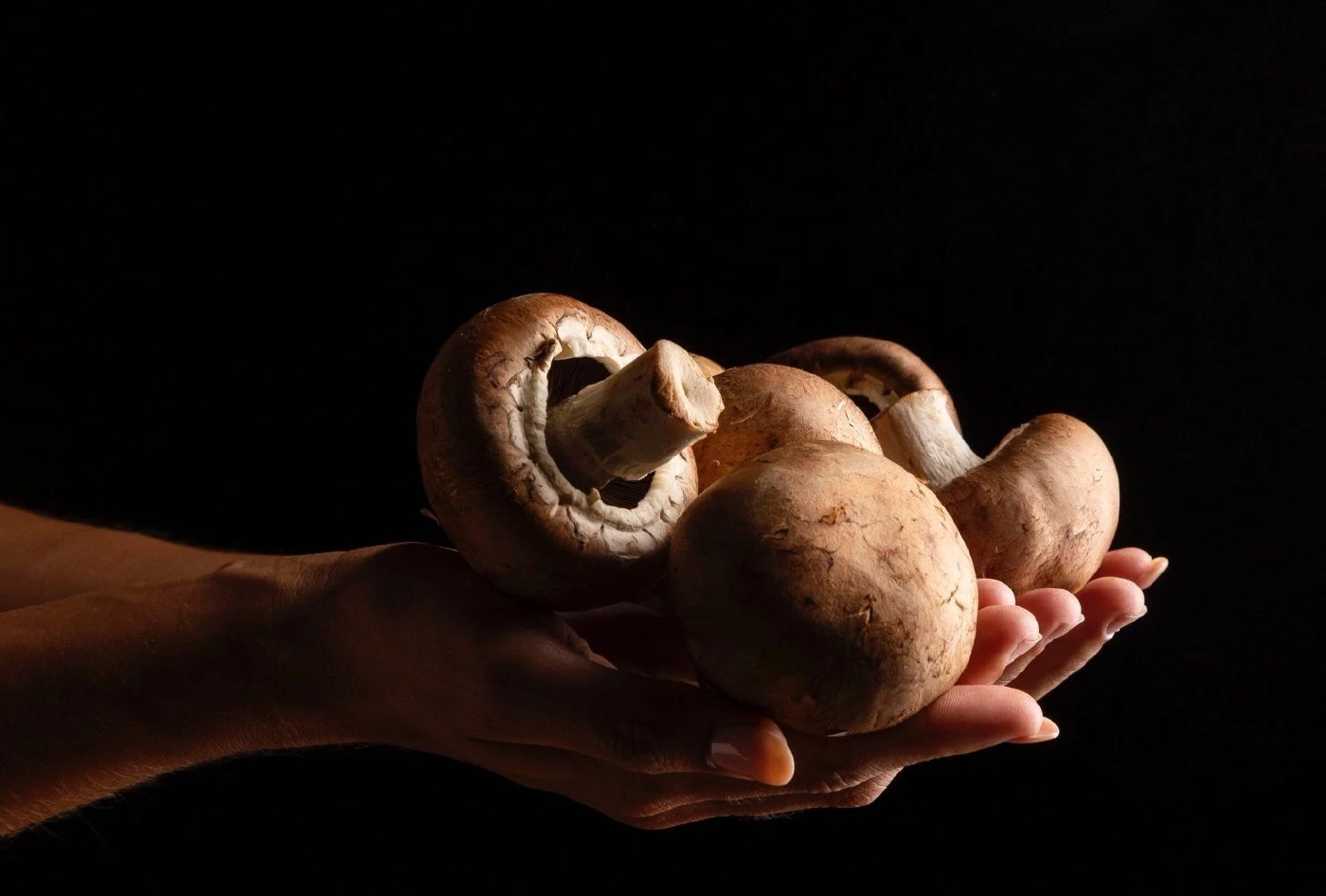 เปิดโผเทรนด์อาหารเพื่อสุขภาพที่น่าจับตาในปี 2023