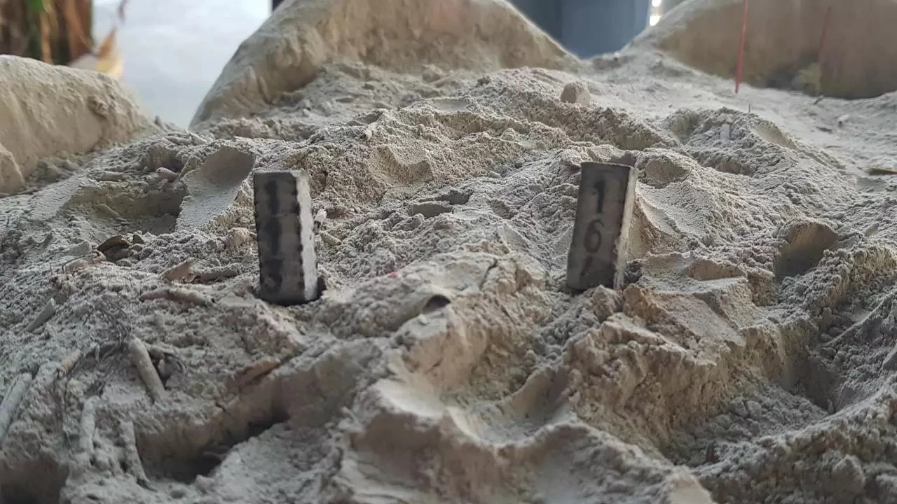 โค้งสุดท้าย เลขเด็ดเลขดัง งวด16/2/66 สุดดยอดเลขสุดปังจากทั่วฟ้าเมืองไทย