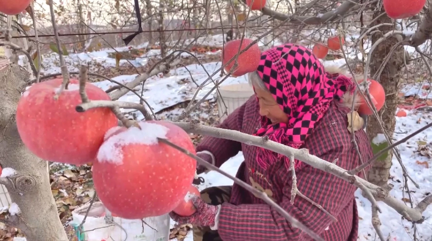 จีนตั้งเป้าเป็นมหาอำนาจด้านการเกษตร (คลิป)