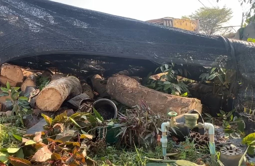 ระทึก! ลูกพ่วงรถบรรทุกไม้หลุดจากตัวแม่ ชนบ้านข้างทางเสียหายหลายแสน