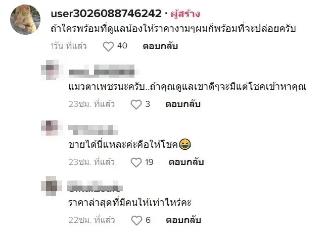 แชร์สนั่น "แมวตาเพชร" ดวงตาประกายวิบวับ คอหวยเรียกร้องให้จับเลขเด็ดด่วน