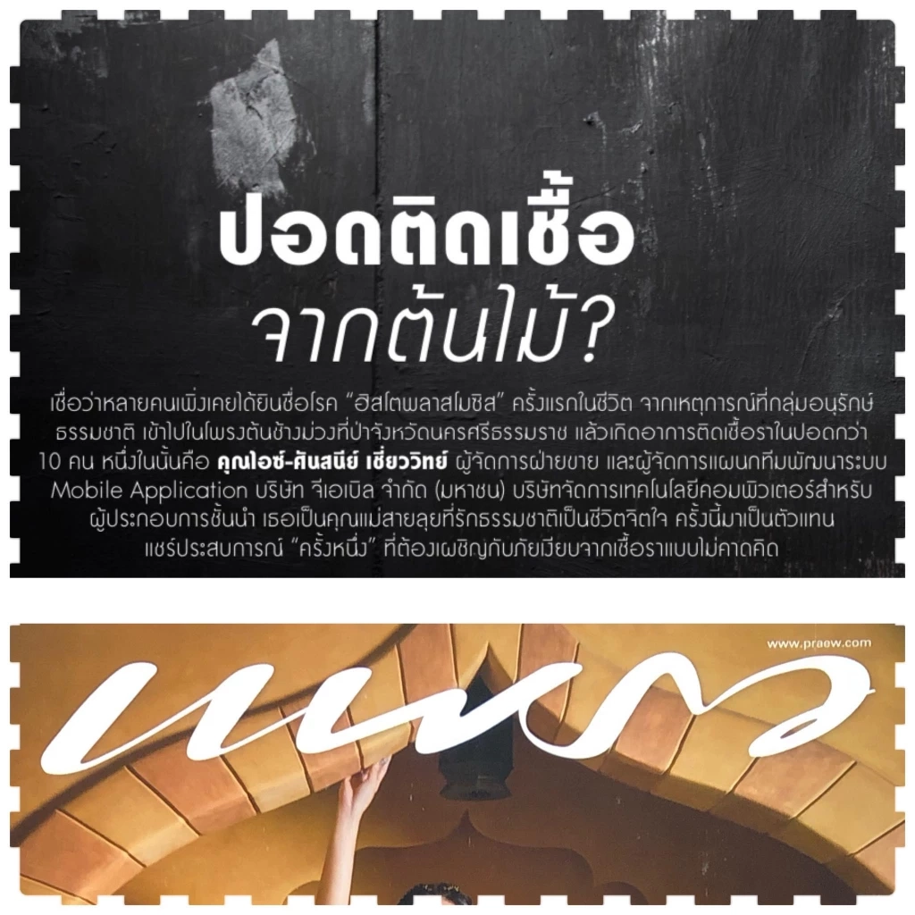 "หมอมนูญ" เปิดข้อมูล "เชื้อราฮิสโตพลาสมา" มีจริง คาดมาจากมูลค้างคาว