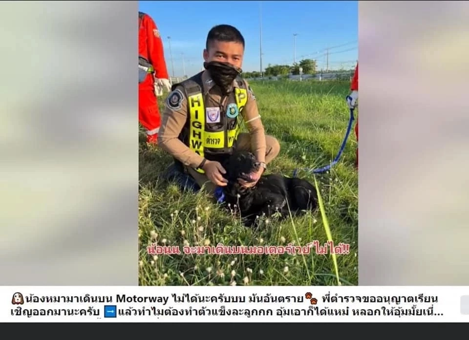 โซเชียลแห่อาลัย ส.ต.อ.เศรษฐการ ลอยขามป้อม ตำรวจน้ำดี ถูกวีออส สีดำชนเสียชีวิต