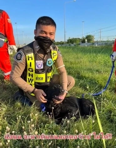 โซเชียลแห่อาลัย ส.ต.อ.เศรษฐการ ลอยขามป้อม ตำรวจน้ำดี ถูกวีออส สีดำชนเสียชีวิต