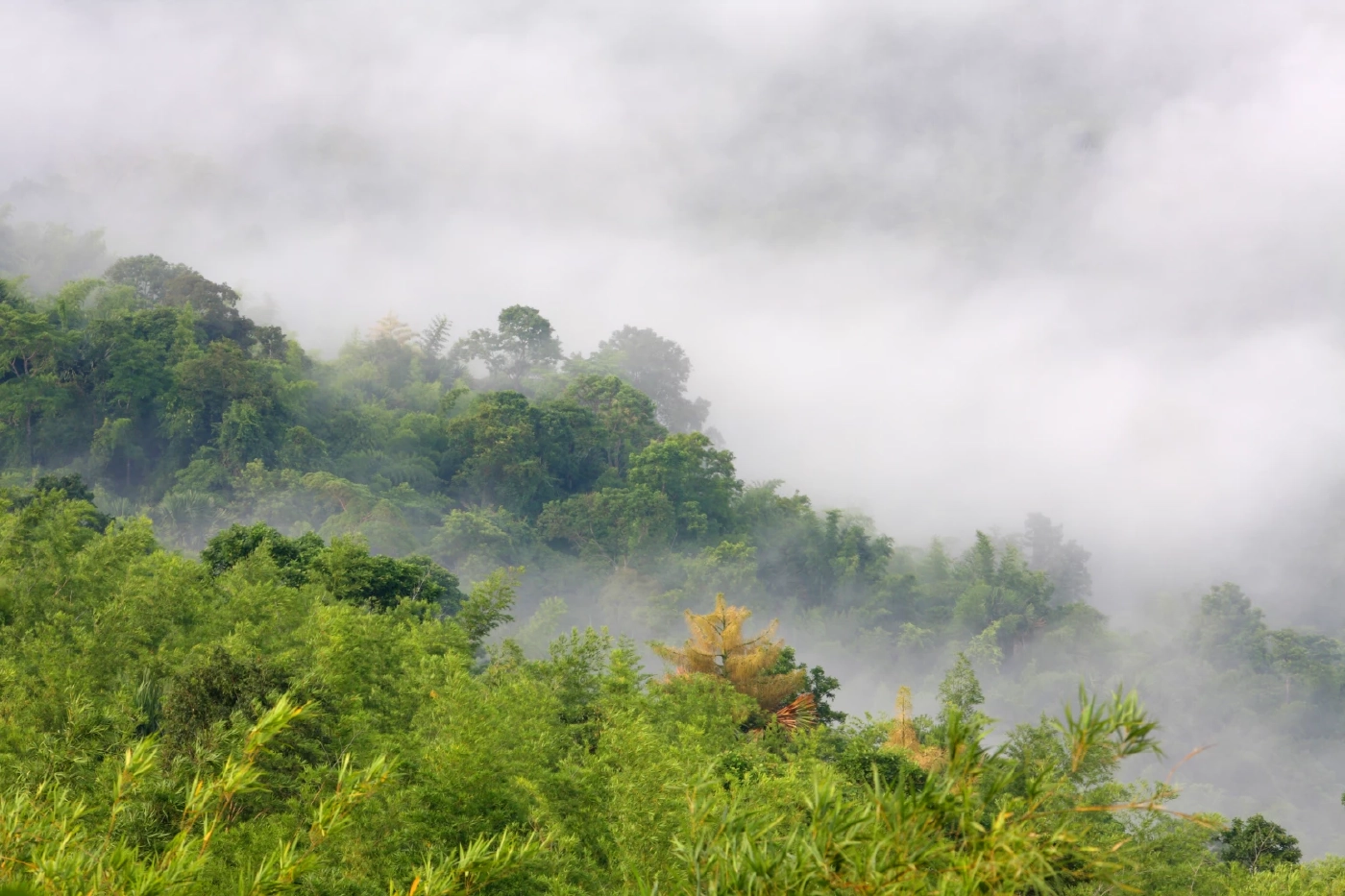 อุทยานแห่งชาติทับลาน