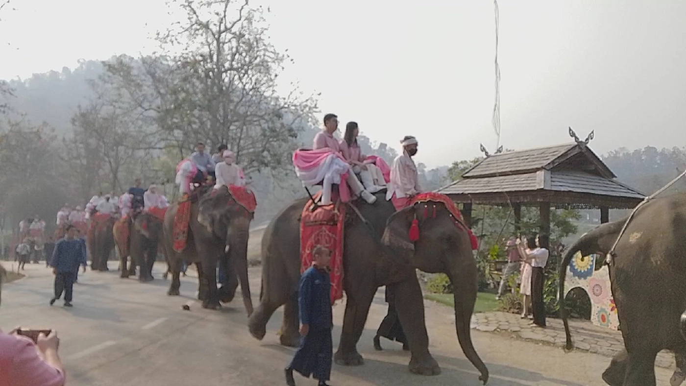 ลำปางจัดกิจกรรมแต่งงานบนหลังช้าง “รักเธอเท่าช้าง คชบาลสานรัก ปี 66”