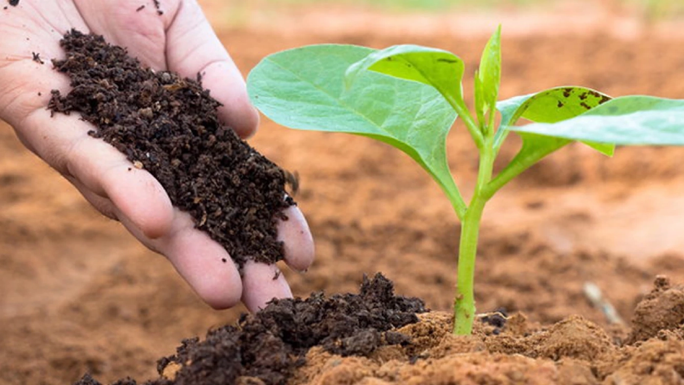 จับตา"วิกฤตราคาน้ำมัน"และ การขาดแคลนอาหาร หากสงครามรัสเซีย-ยูเครน ขยายวง