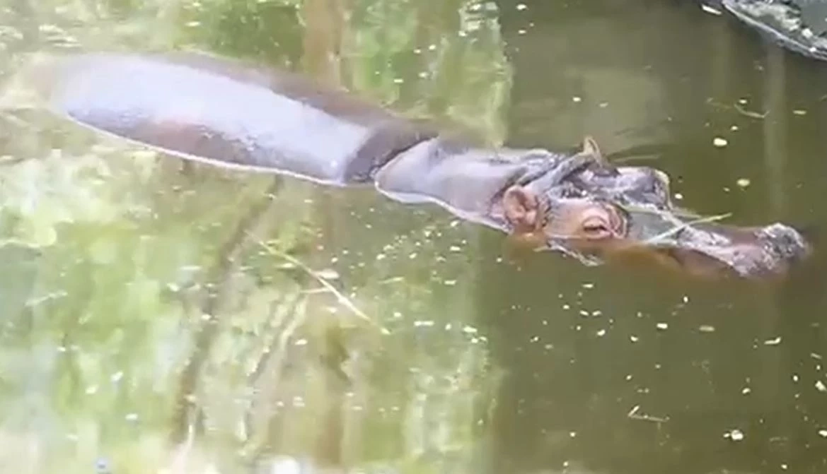 สวนสัตว์เปิดเขาเขียว ชวนเที่ยวแก้ชง ทำบุญอุปถัมภ์สัตว์ป่า เสริมบุญบารมี