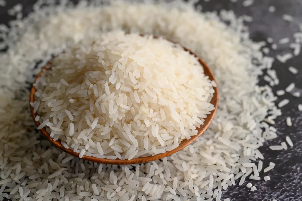 ไทยส่งออกข้าว 40 วันแรกของปี 66 ลดลง 12.5% จากปัญหาค่าเงินบาทผันผวน