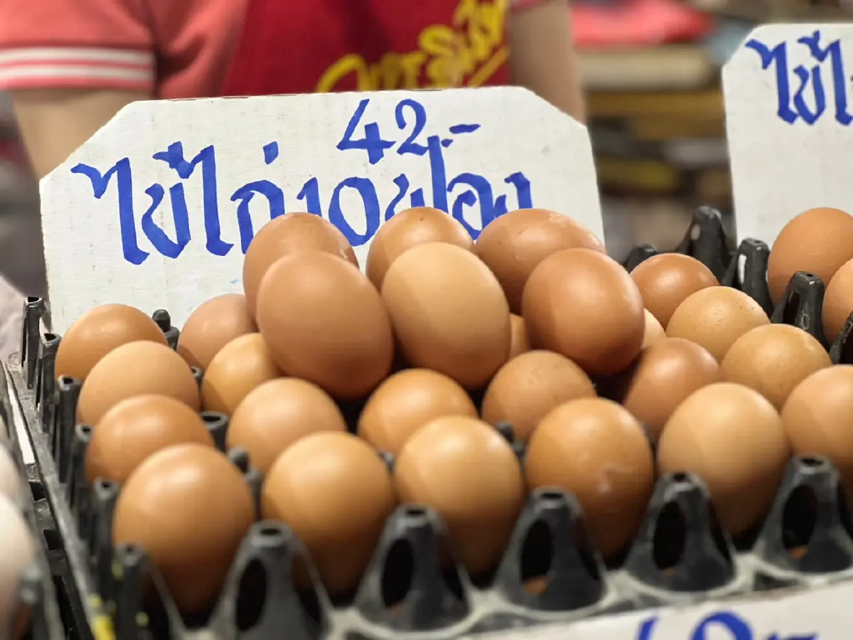 "กรมการค้าภายใน" เผยเนื้อสัตว์ ลดราคาลง เฉลี่ย3-4%