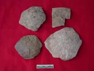 แหล่งโบราณคดี บ้านวังด้วน ขอบคุณภาพจากเพจ ศูนย์มานุษยวิทยาสิรินธร