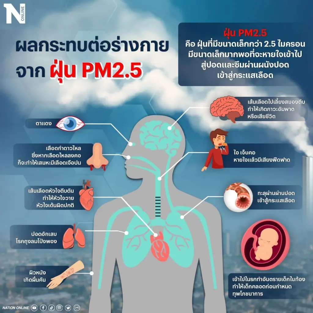 เปิดวิธีป้องกันฝุ่นพิษ PM 2.5 ในกรุงเทพฯและตจว. แนะวิธีสังเกตอาการผิดปกติ