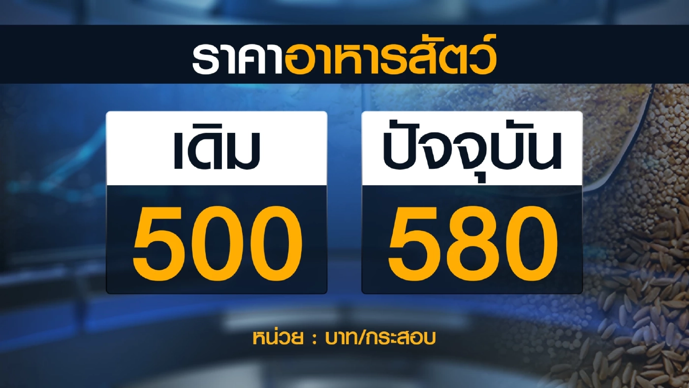เกษตรกรขาย 'ไข่เค็ม' แทน 'ไข่สด' หลังต้นทุนพุ่ง